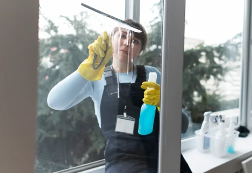 Nettoyage de vitres intérieures et extérieures à la Rabatelière
